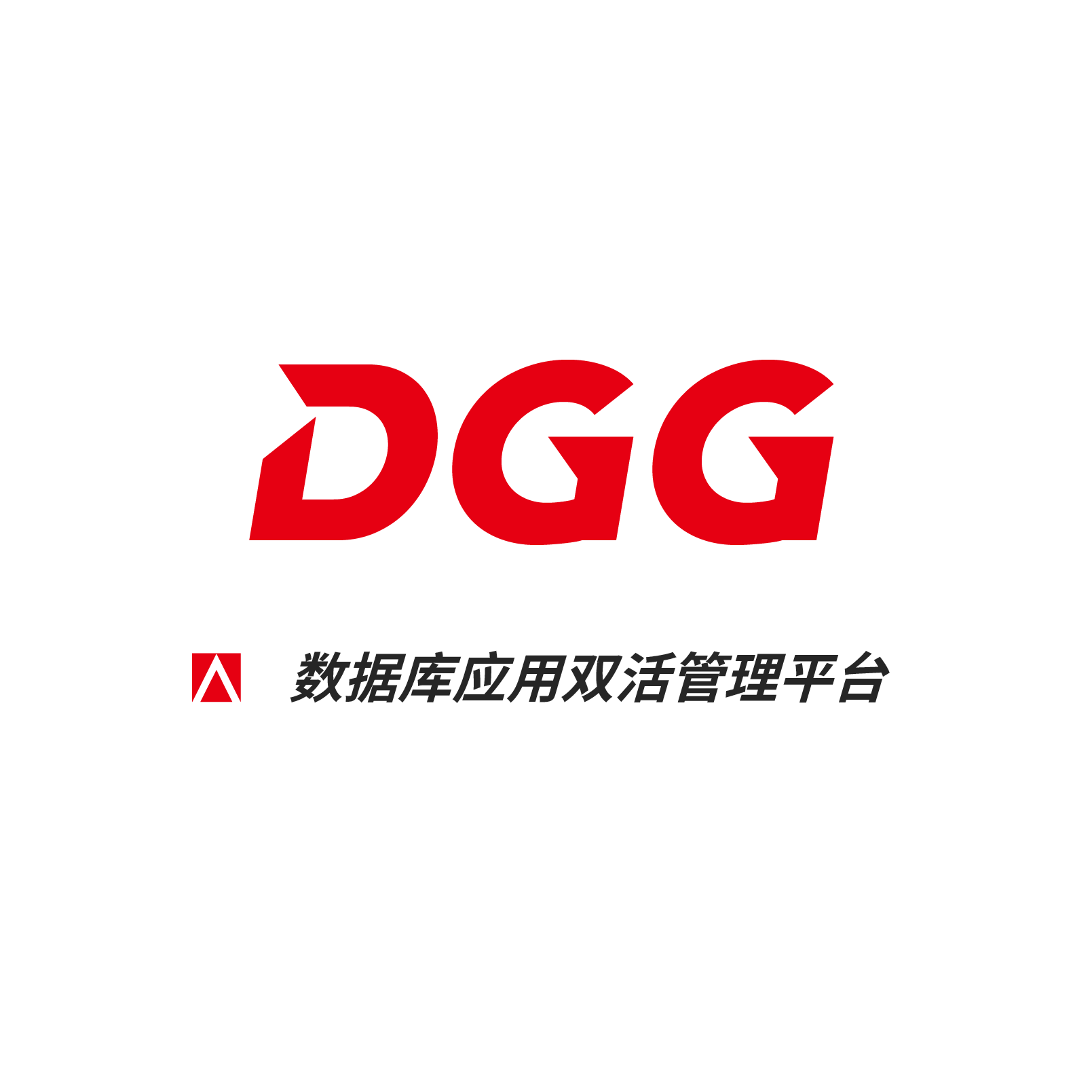 数据库双活管理系统DGG_数存科技-We Foucus On Data & App